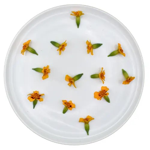 Jestivo cvijeće tangerine tagetes